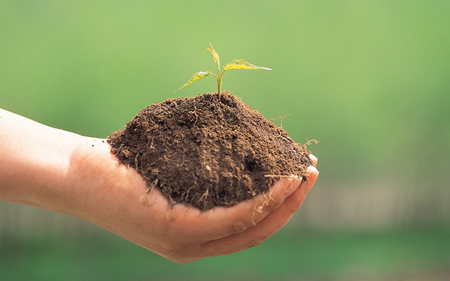 作物に愛情を持って、土壌管理をします。